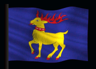 olandflag